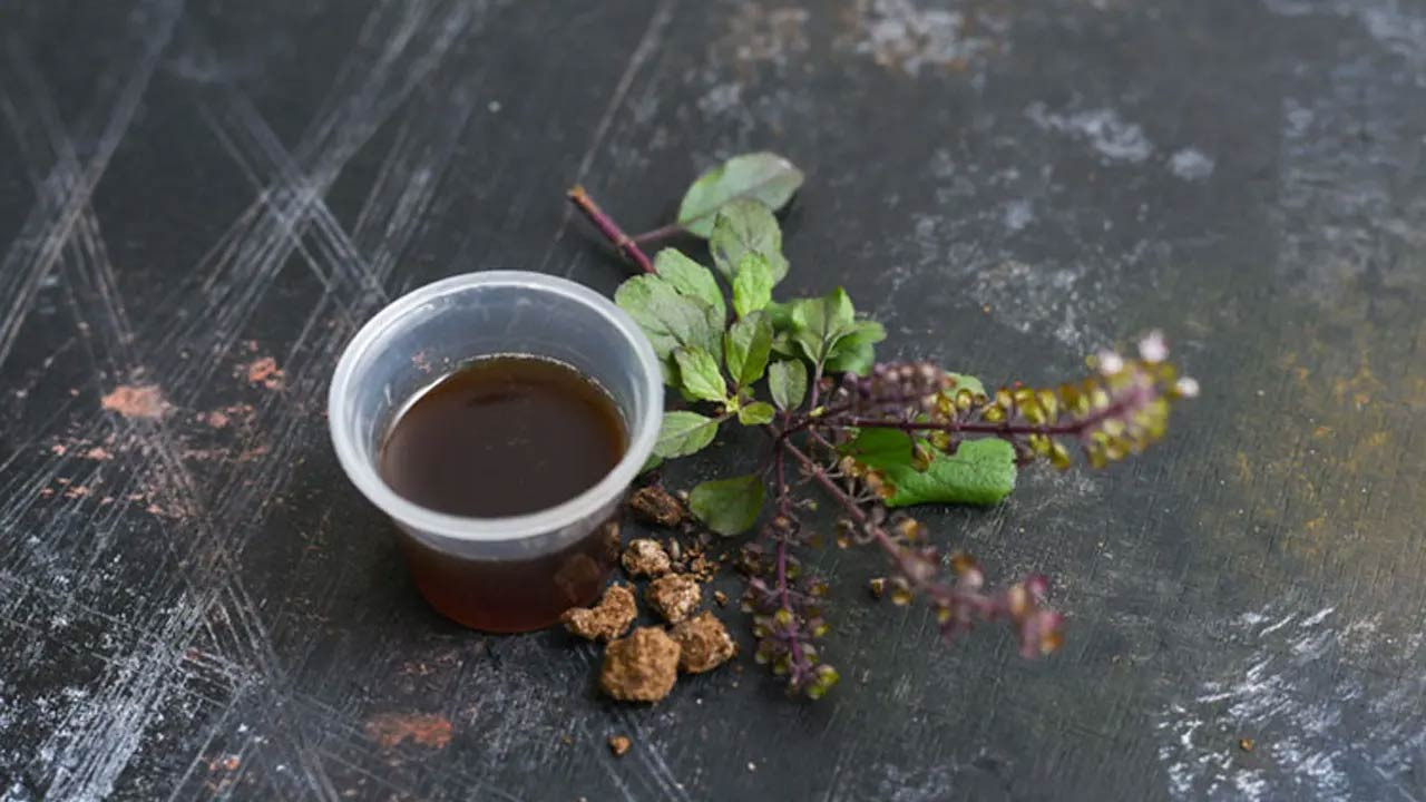 শীতে প্রাকৃতিক উপায়ে সর্দি-কাশি প্রতিরোধে তুলসী পাতার উপকারিতা