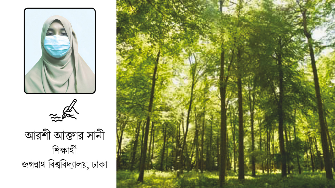 বন উজাড় ও বন্যপ্রাণীর বিলুপ্তি