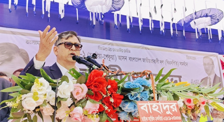 আ.লীগ কখনোই বাংলাদেশের অস্তিত্বে বিশ্বাস করেনি: সালাহউদ্দিন আহমদ