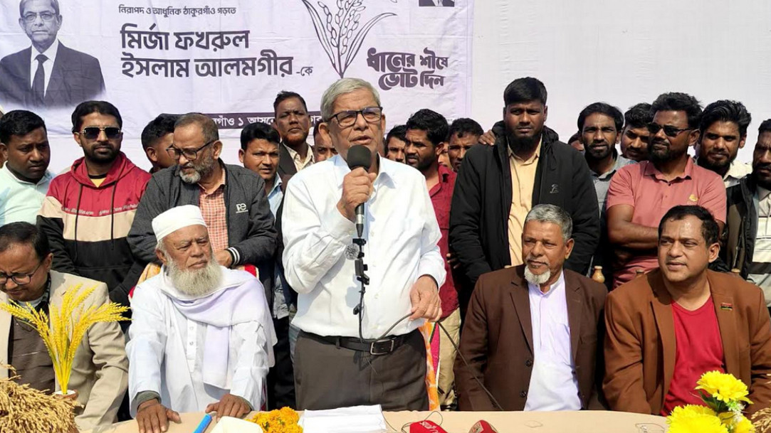 তারেক রহমান সঠিকভাবে দেশকে নেতৃত্ব দিয়ে এগিয়ে নিতে পারবেন : মির্জা ফখরুল