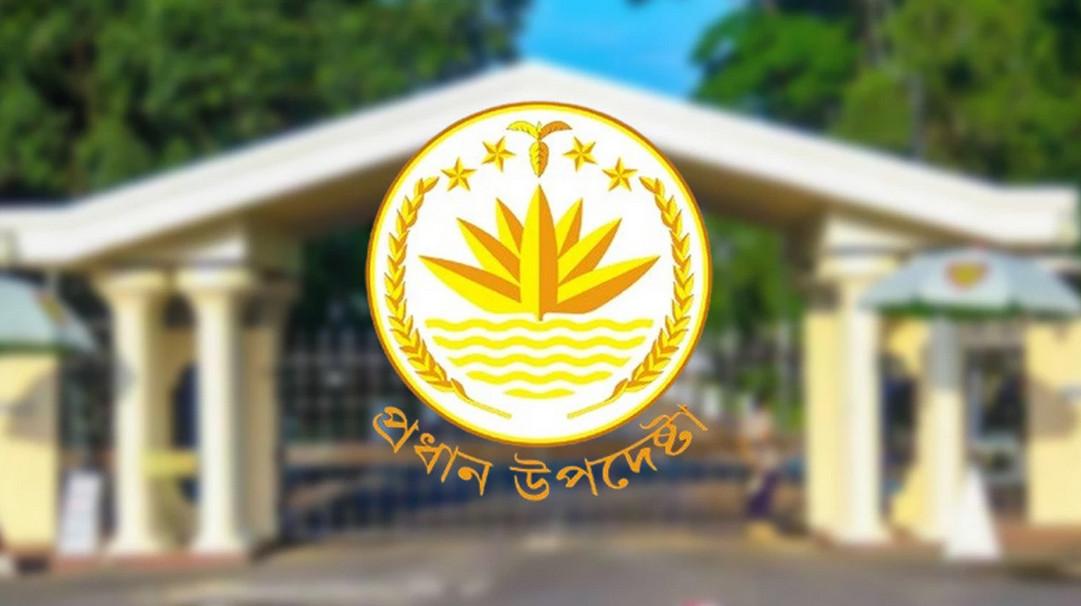 সংস্কারের পক্ষে ‘হ্যাঁ’ ভোট প্রচারণার ব্যাখ্যা দিল সরকার