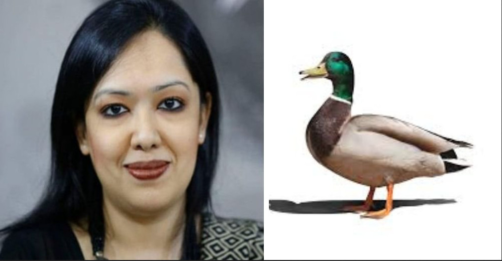 পছন্দের হাঁস প্রতীক পেলেন রুমিন ফারহানা