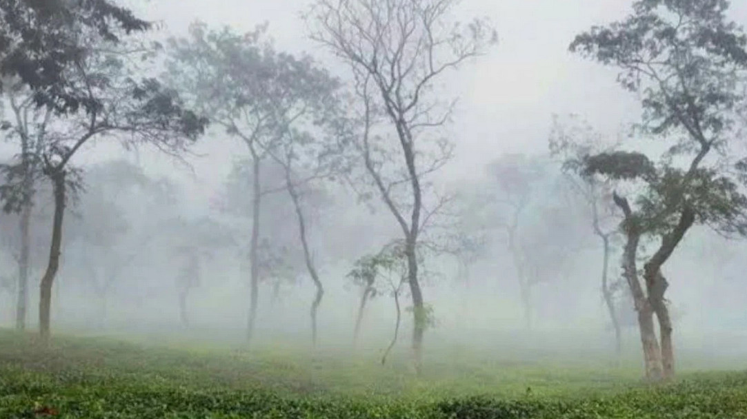 আজ দেশের সর্বনিম্ন তাপমাত্রা শ্রীমঙ্গলে