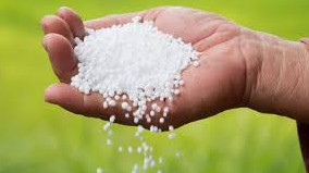 তারাগঞ্জে সারের কৃত্রিম সংকট সৃষ্টি ও  সরবরাহে বাধা, ডিলারের জরিমানা