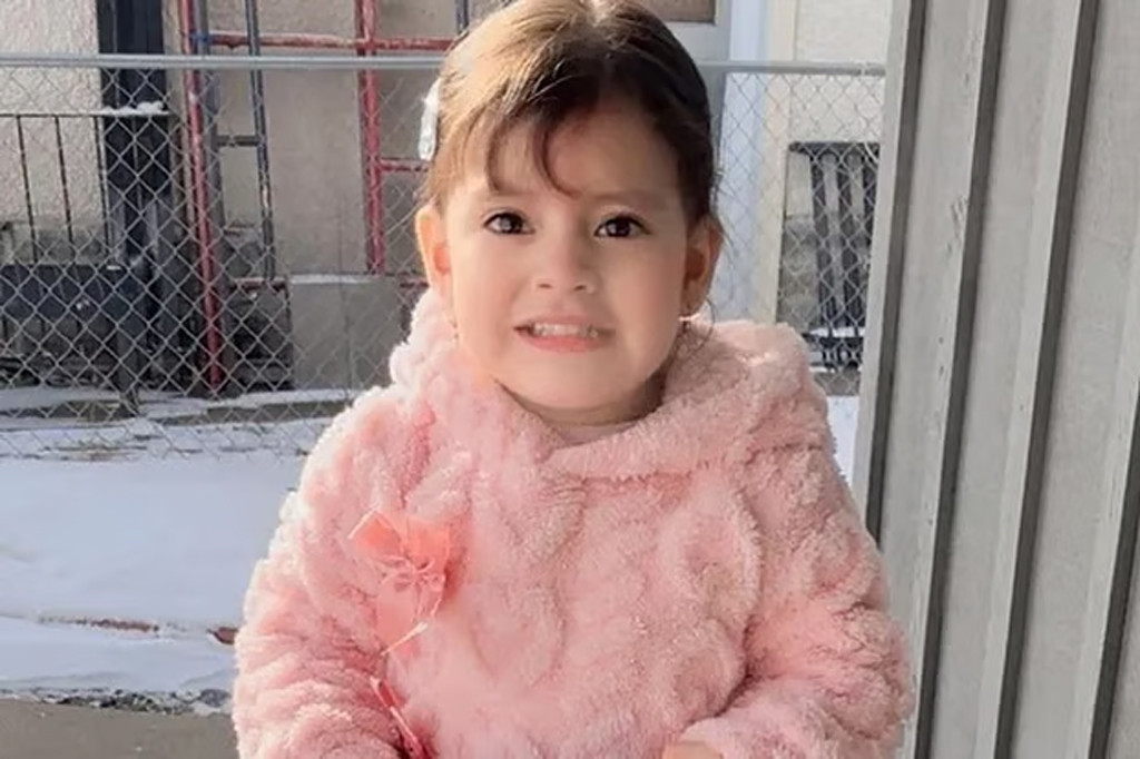 যুক্তরাষ্ট্রে দুই বছরের শিশুকে আটক করে নিয়ে গেলেন আইসিই সদস্যরা