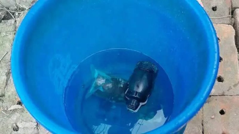 বান্দরবানে পাহাড়ি ঝিরি থেকে সাউন্ড গ্রেনেড উদ্ধার