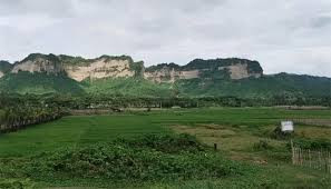 টেকনাফের ৬ কৃষককে অস্ত্রের মুখে অপহরণের অভিযোগ