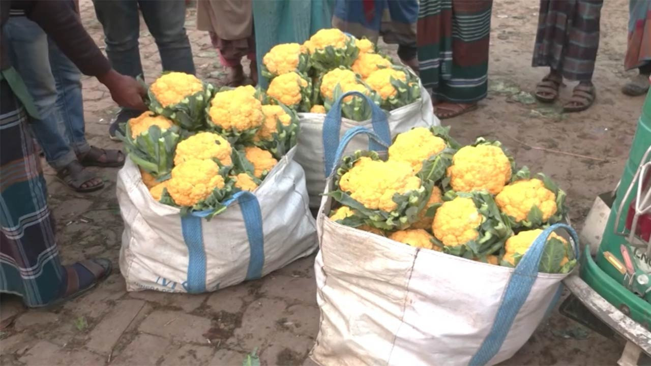 ভোট আসে ভোট দেই কৃষকের কষ্ট থেকেই যায়