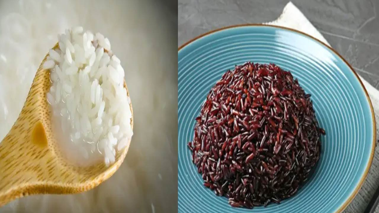 ভাত খেয়ে কি ডায়াবেটিস নিয়ন্ত্রণ সম্ভব?