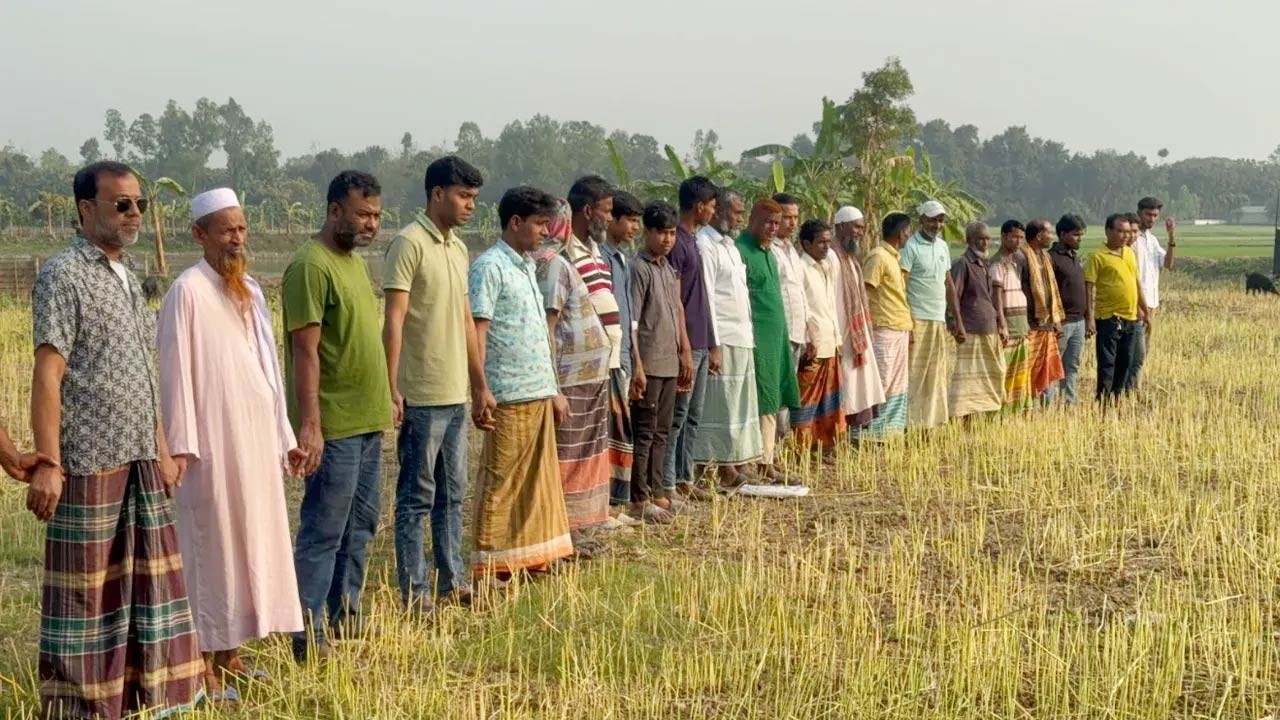 নাটোরের সিংড়ায় জমি নিয়ে বিরোধে কৃষকের সরিষা কেটে নিল প্রতিপক্ষ