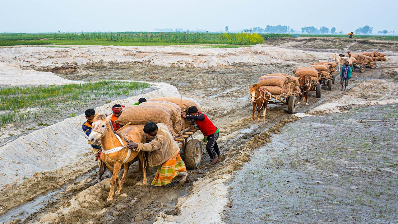 তিস্তার চরে টগবগ শব্দে ছুটে চলা ঘোড়ার গাড়ি