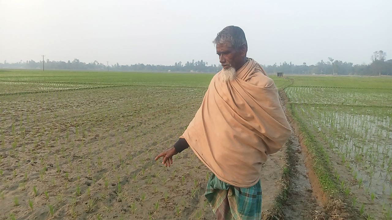 গাইবান্ধার সাদুল্লাপুরে পাম্পের সংযোগ বিচ্ছিন্ন, শত বিঘা জমিতে বোরো আবাদের অনিশ্চয়তা