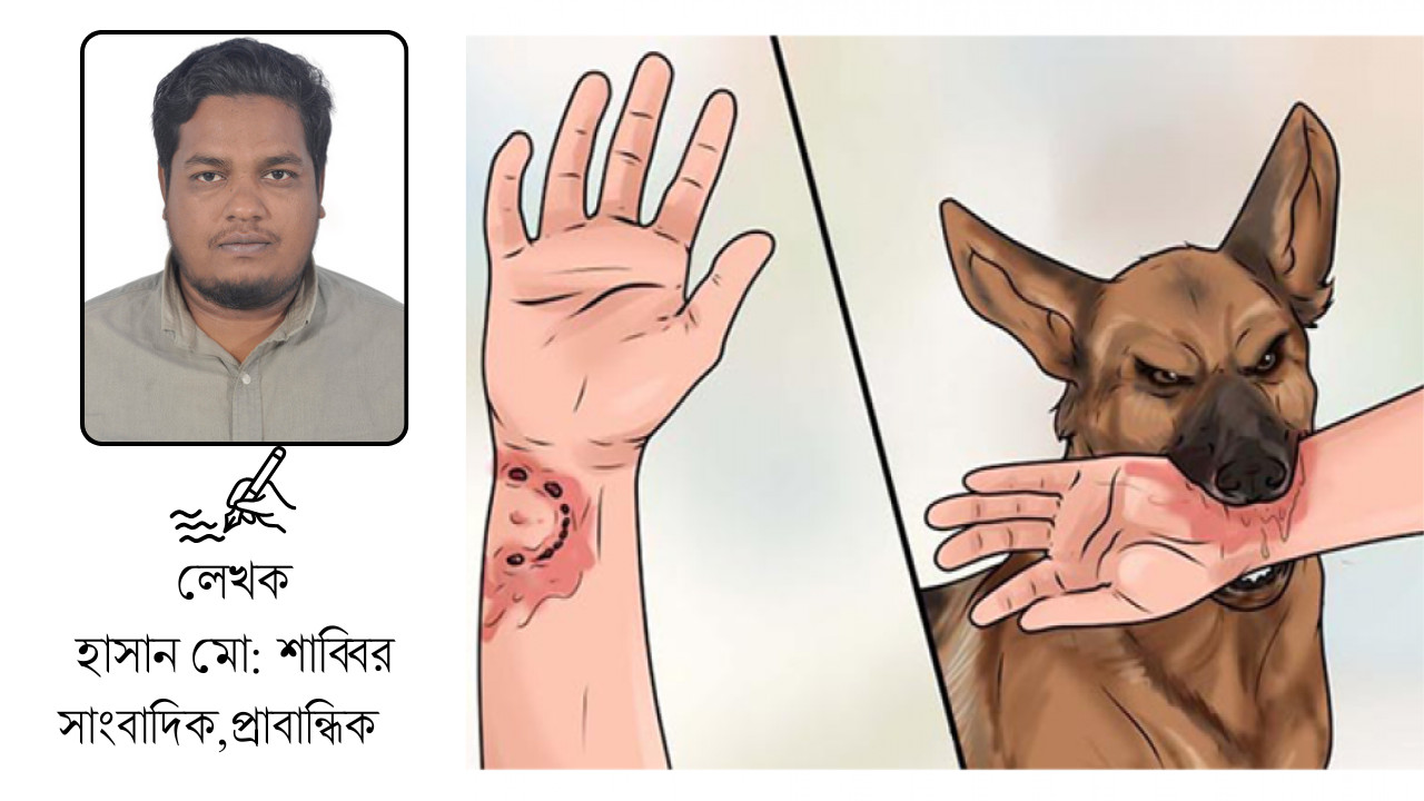 বগুড়ার পথে পথে কুকুরের দাপট: নিধন নয়, সমাধান হোক পরিকল্পিত ব্যবস্থাপনা