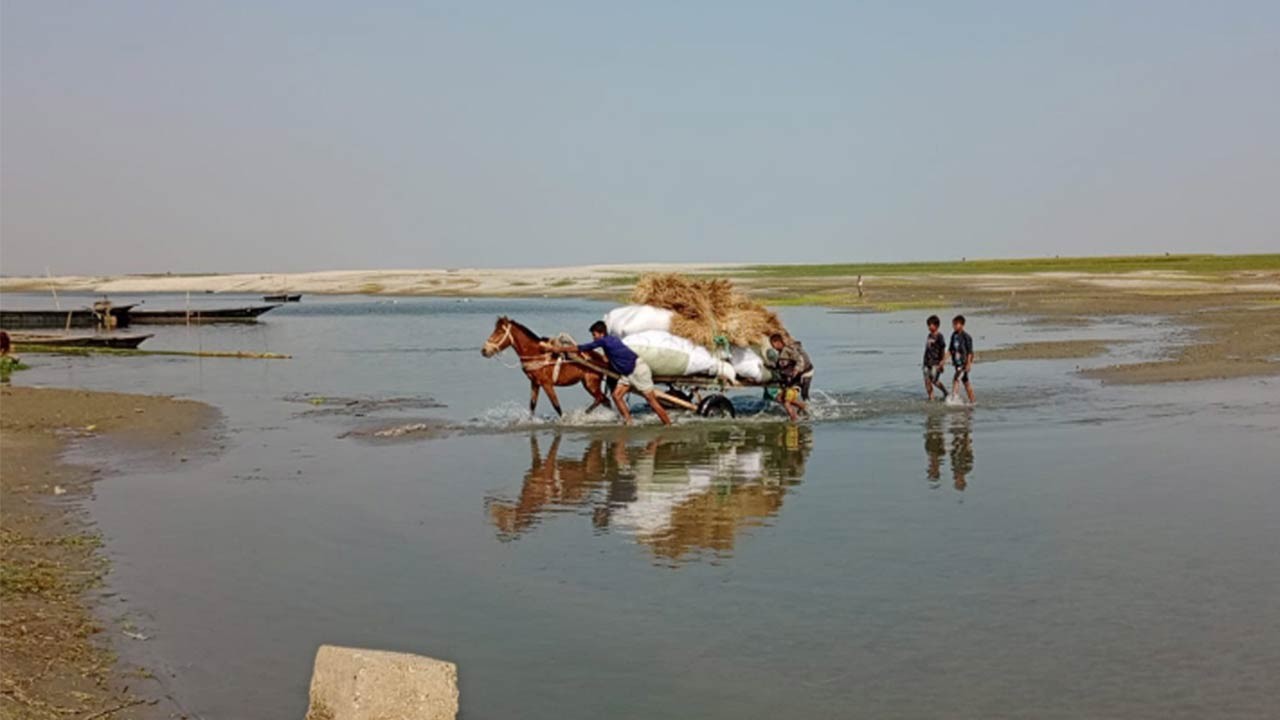 বগুড়ার সারিয়াকান্দিতে নাব্য সংকটে পণ্য পরিবহনে সম্বল ঘোড়ারগাড়ি