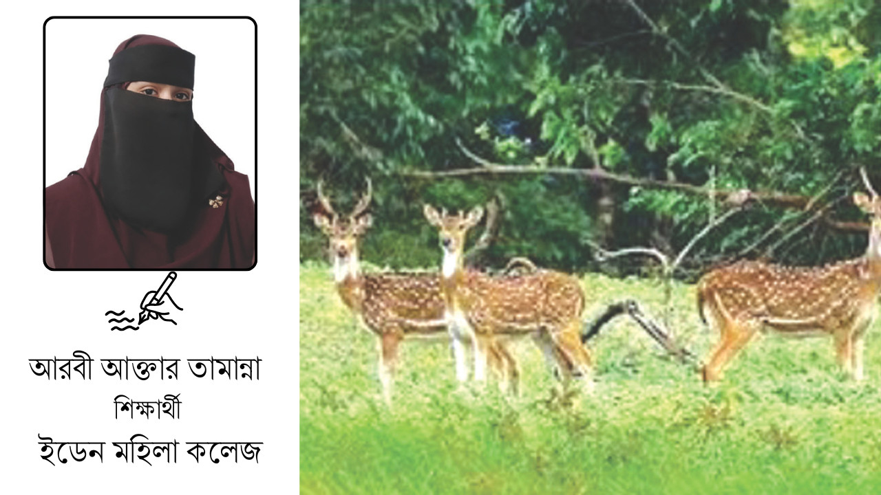 প্রকৃতির নীরব প্রহরী সুন্দরবন