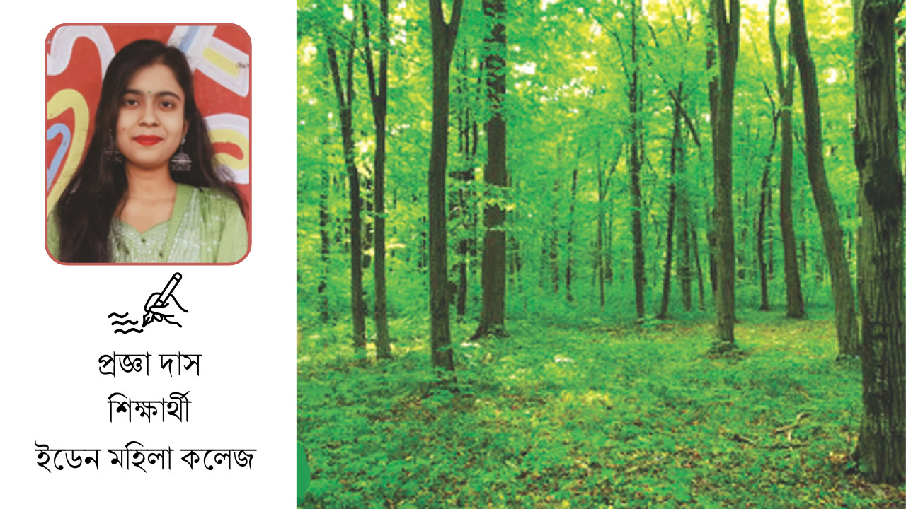 দাবদাহ রোধে টেকসই সবুজায়ন