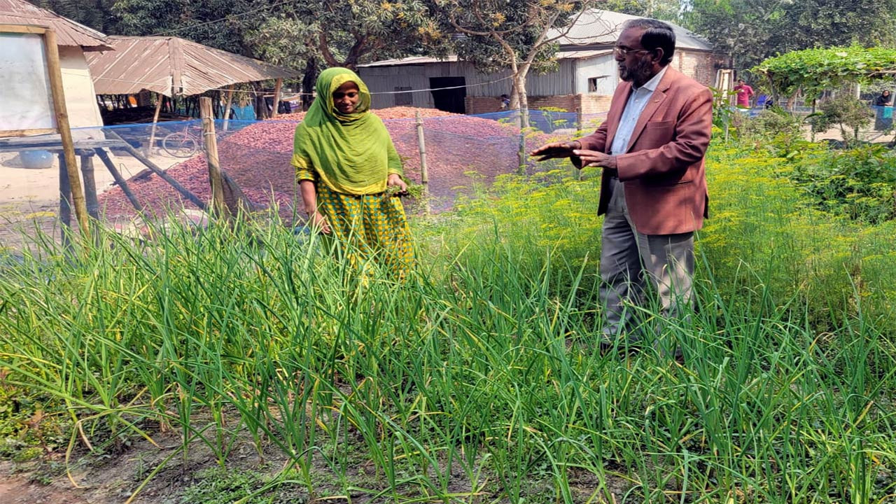 বগুড়ার শেরপুরে পরিত্যক্ত জমিতে পাঁচ স্তরের সবজি চাষ