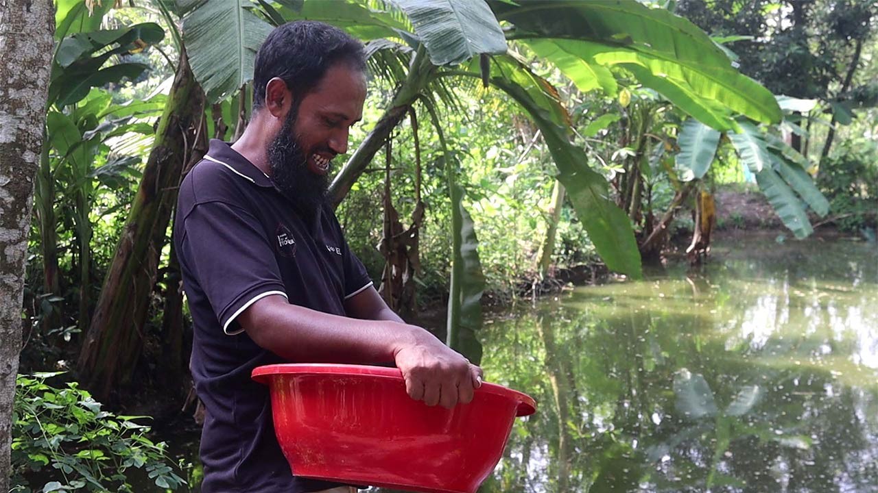 দানাদার ফিডের চাপ কমাচ্ছে কালো সৈনিক পোকা
