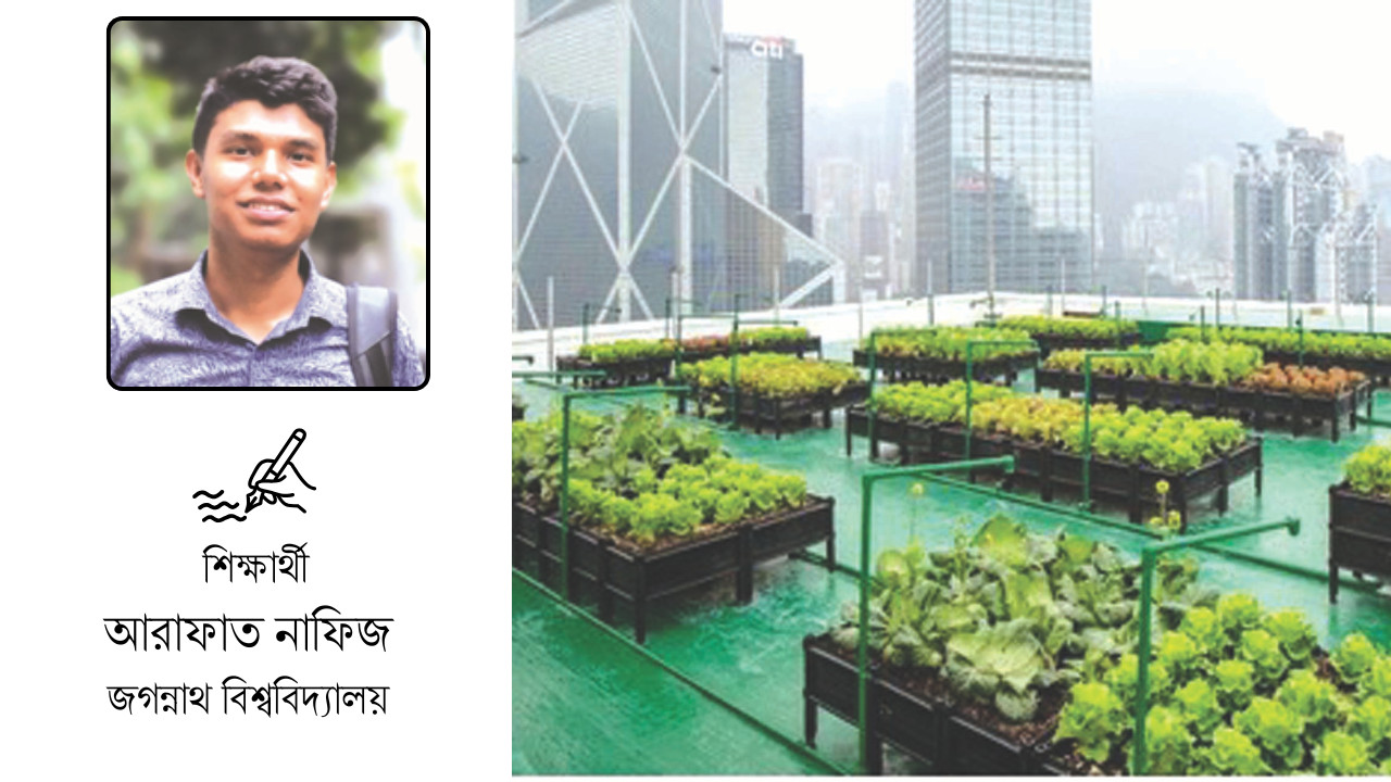 নগর কৃষি: খাদ্য নিরাপত্তার বিকল্প সমাধান