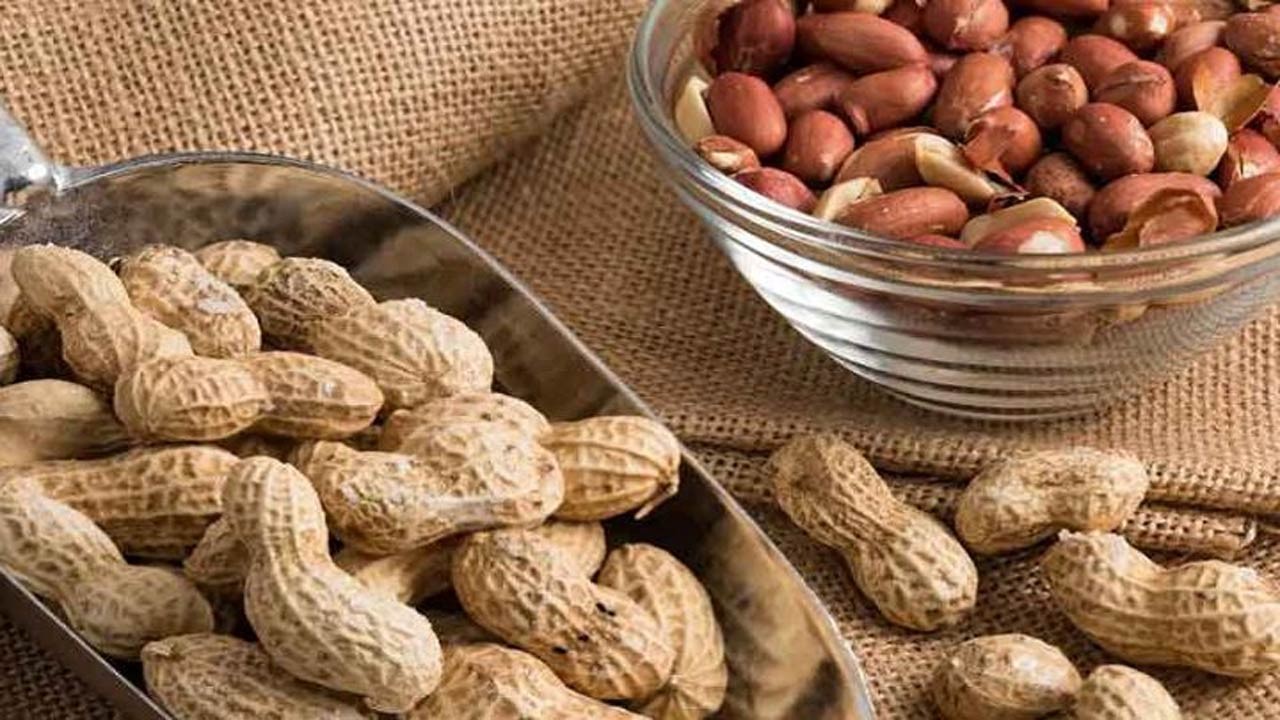 চিনাবাদাম দীর্ঘদিন ভালো রাখার ঘরোয়া টিপস