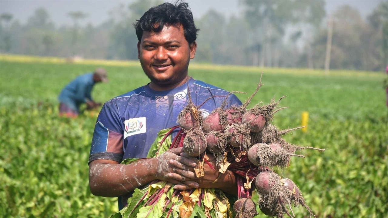 জয়পুরহাটের কৃষকদের স্বপ্ন দেখাচ্ছে নতুন সবজি বিটরুট, কম খরচে লাভ বেশি