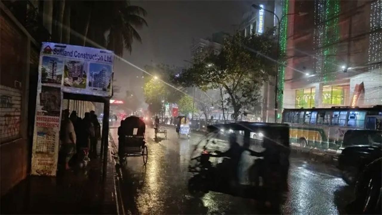 নাটোরের লালপুরে মৌসুমের প্রথম বৃষ্টি আম ও লিচুর জন্য রহমত