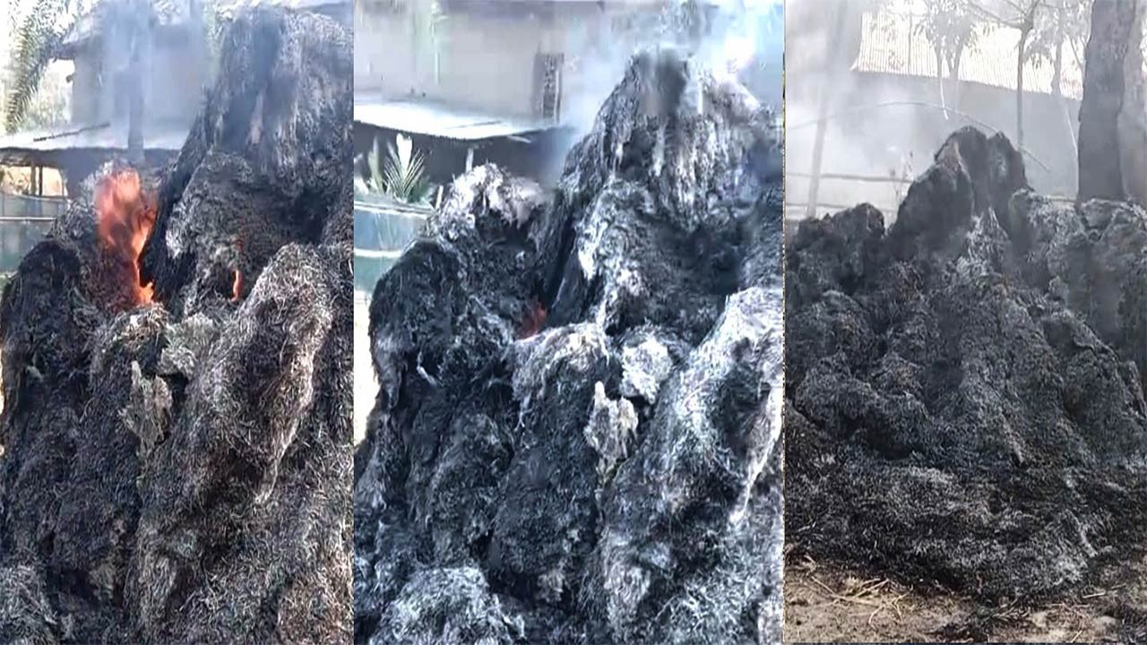 বগুড়ার নন্দীগ্রামে খড়ের পালায় অগ্নিকাণ্ডের ঘটনা বাড়ছে