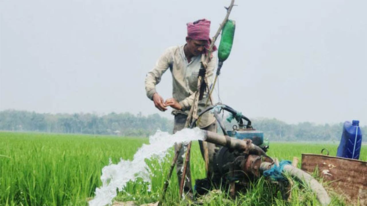 সিরাজগঞ্জের তাড়াশে ডিজেল সংকটে সেচ নিয়ে বিপাকে কৃষক