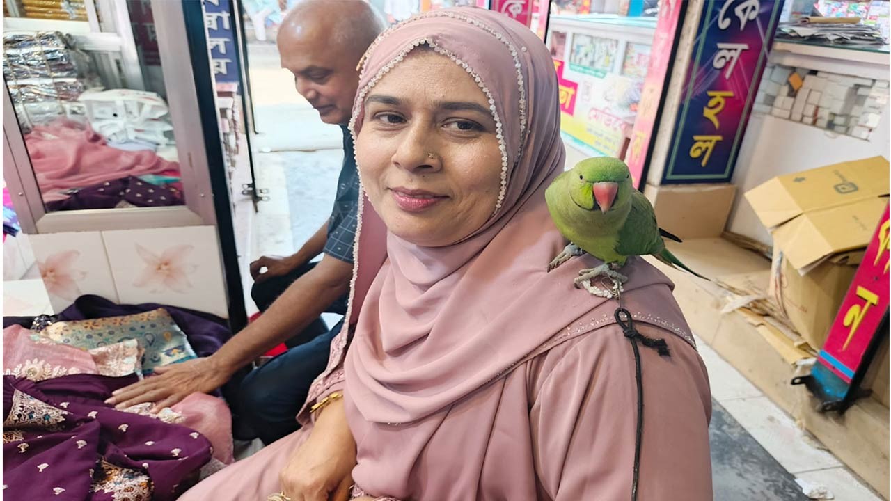 গৃহবধূর সালমার নিত্যসঙ্গী টিয়ে পাখি মিঠু, তাকে নিয়েই ঈদে কেনাকাটা