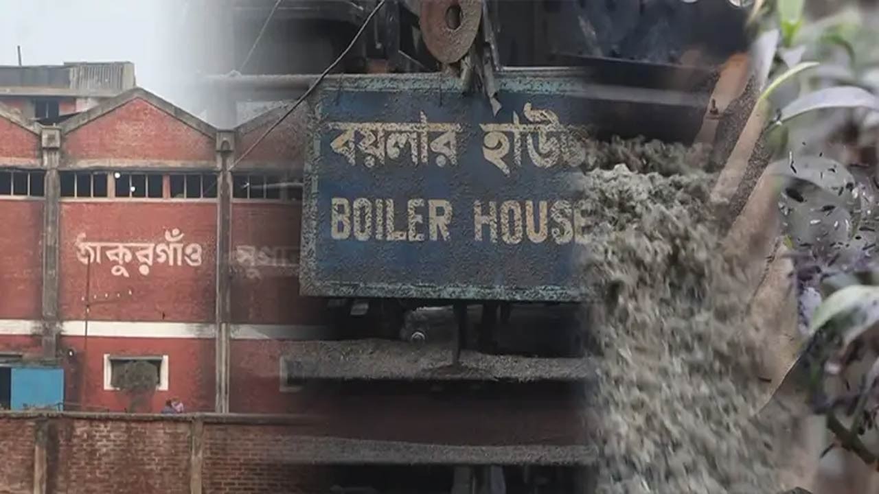 ঠাকুরগাঁও সুগার মিলের ছড়িয়ে পড়া ছাইয়ে জনদুর্ভোগ চরমে