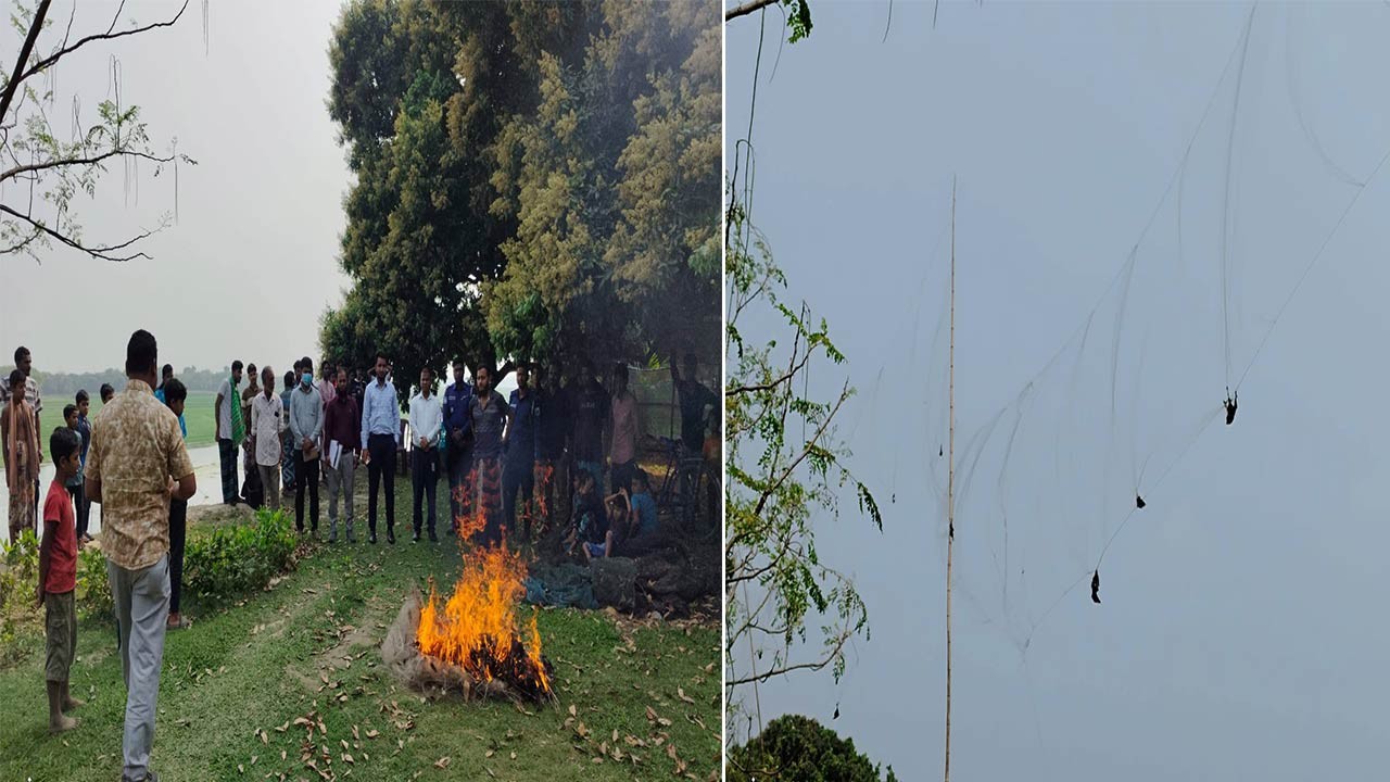 চাঁপাইনবাবগঞ্জে কারেন্ট জাল দিয়ে পাখি হত্যা, ২৫ হাজার টাকা জরিমানা