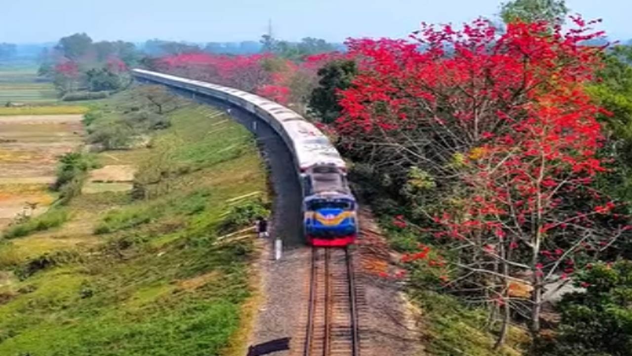 সিরাজগঞ্জের উল্লাপাড়ার শিমুল পলাশ সজ্জিত রেলপথ প্রকৃতি প্রেমীদের যেন মিলনমেলা