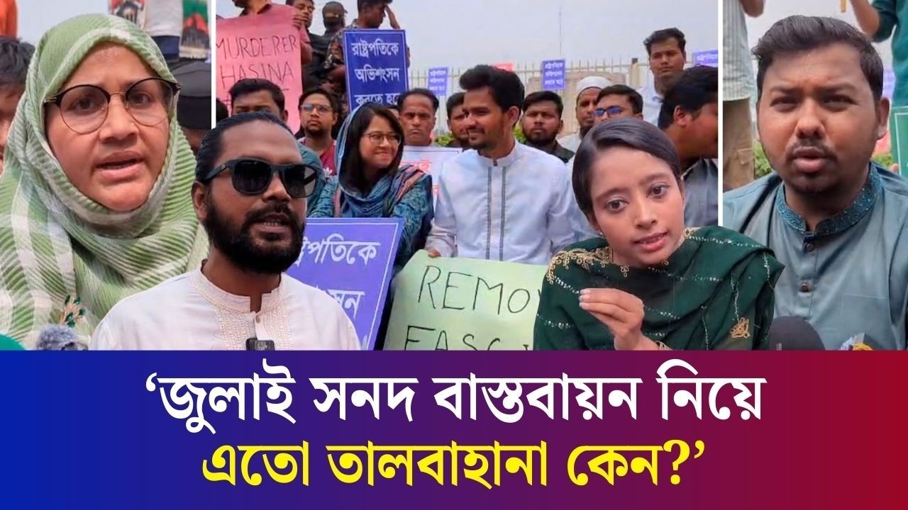 বিএনপিকে নতুন করে ফ্যাসিবাদী হয়ে ওঠার সম্ভাবনা দেখছি : জুলাই শহিদ পরিবারের সদস্য