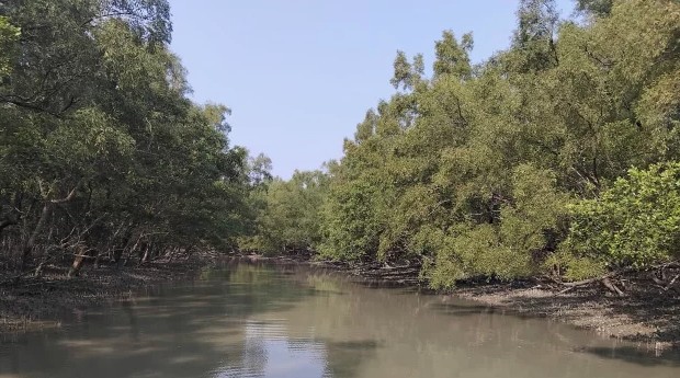 সুন্দরবনে ‘রেড অ্যালার্ট’ জারি  