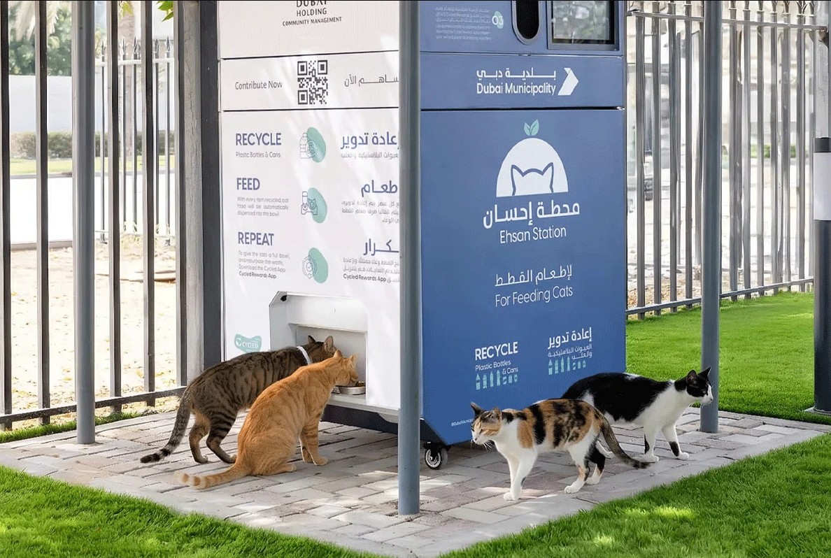 যুদ্ধের আতঙ্কে পোষা প্রাণী ফেলে দুবাই ছাড়ছেন বাসিন্দারা