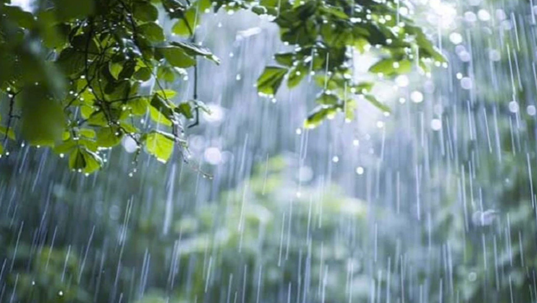 রাজধানীতে বজ্রসহ বৃষ্টির শঙ্কা