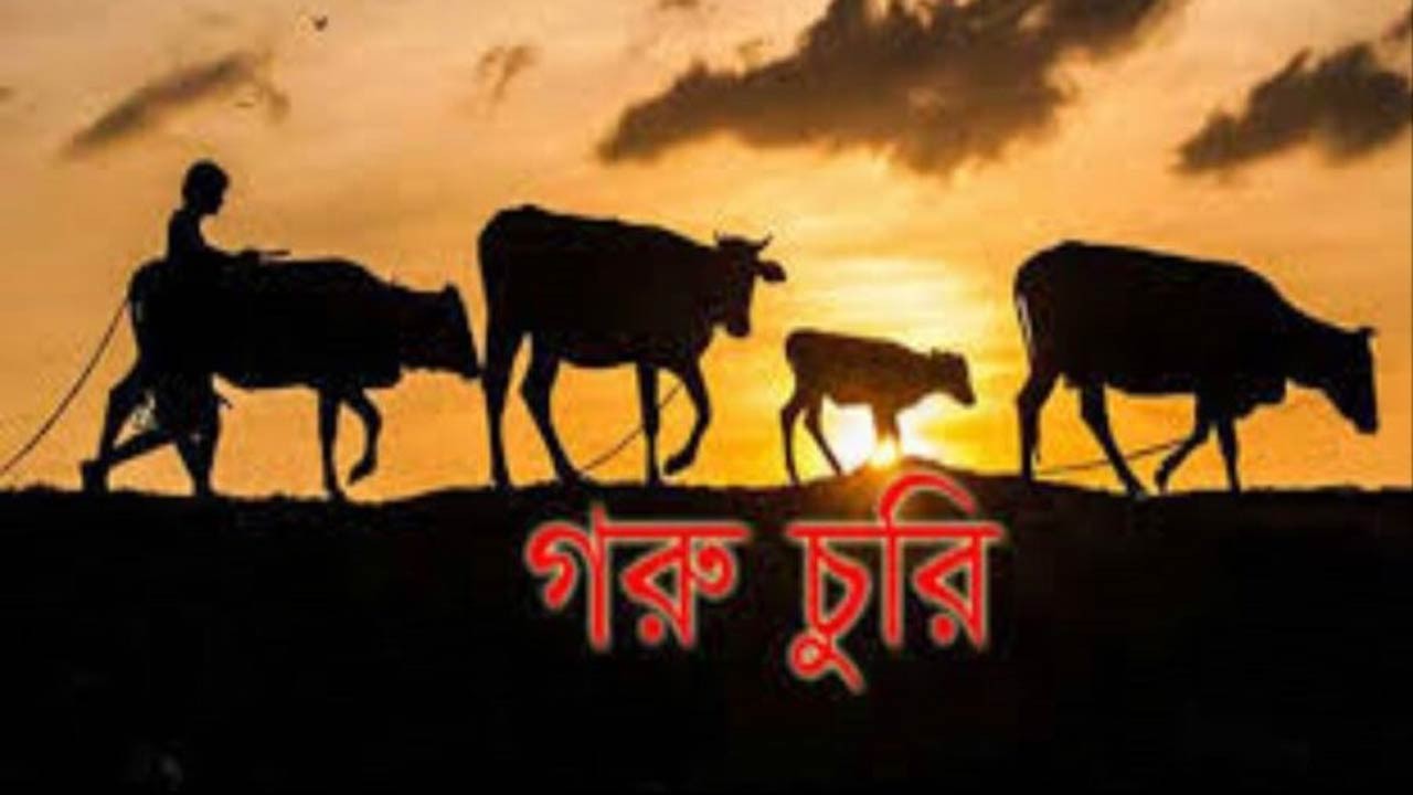 জয়পুরহাটের পাঁচবিবিতে দরজা ভেঙে গরু চুরি