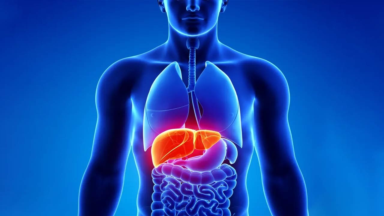 লিভারের শত্রু কোন অভ্যাসগুলো? জেনে নিন
