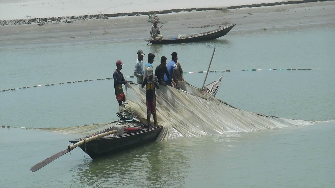 পাবনার সুজানগরে পদ্মার কোল শুকিয়ে যাওয়ায় মৎস্যজীবীরা বেকার
