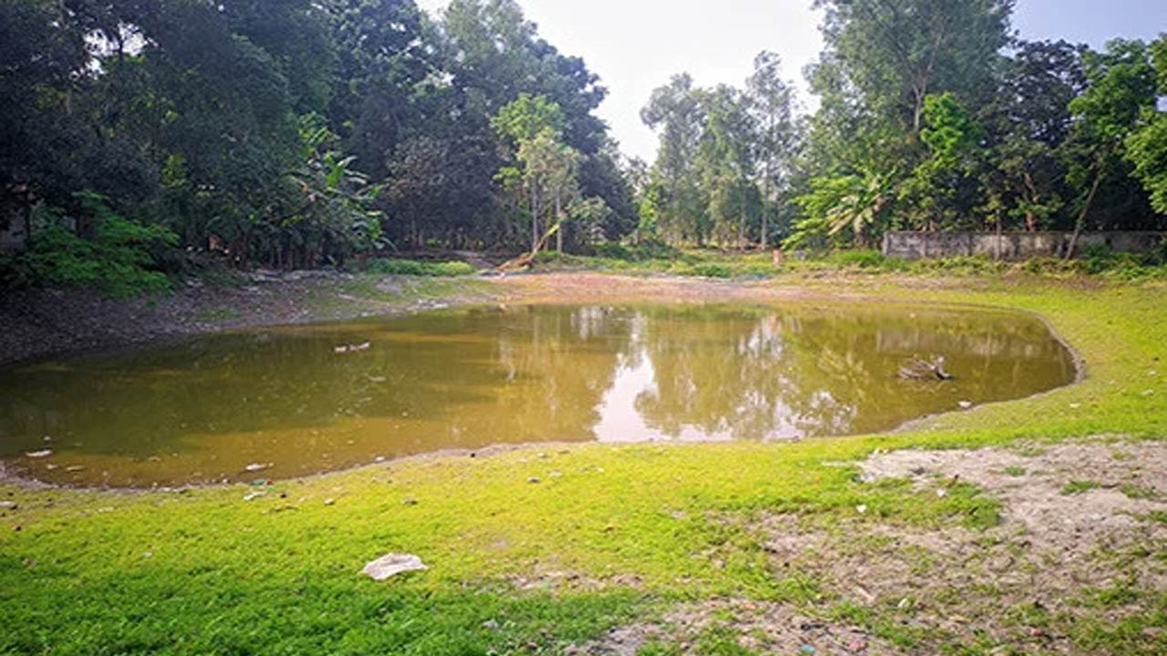 রংপুর বিভাগে মাছের ঘাটতি প্রায় ১৯ হাজার টন