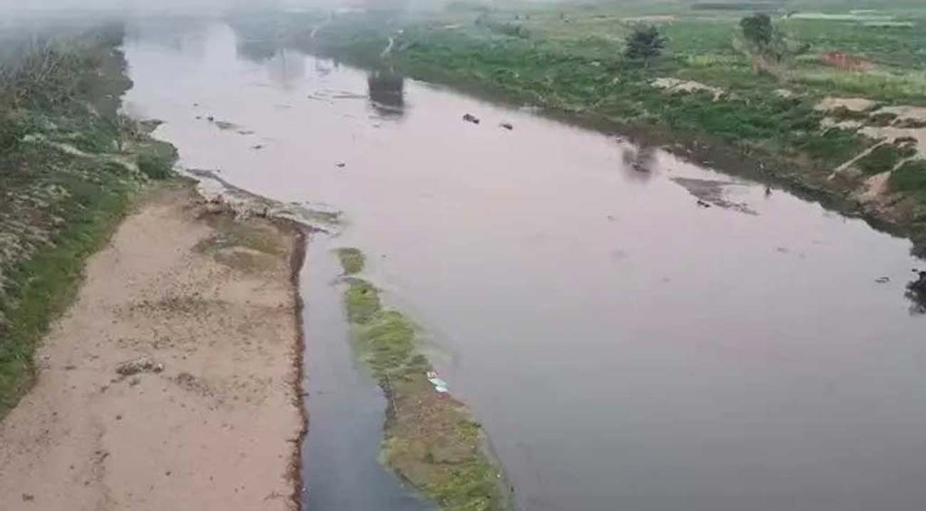 বাংলাদেশ সীমান্তবর্তী নদীতে কুমির-সাপ ছাড়া নিয়ে দ্বিধাবিভক্ত বিএসএফ