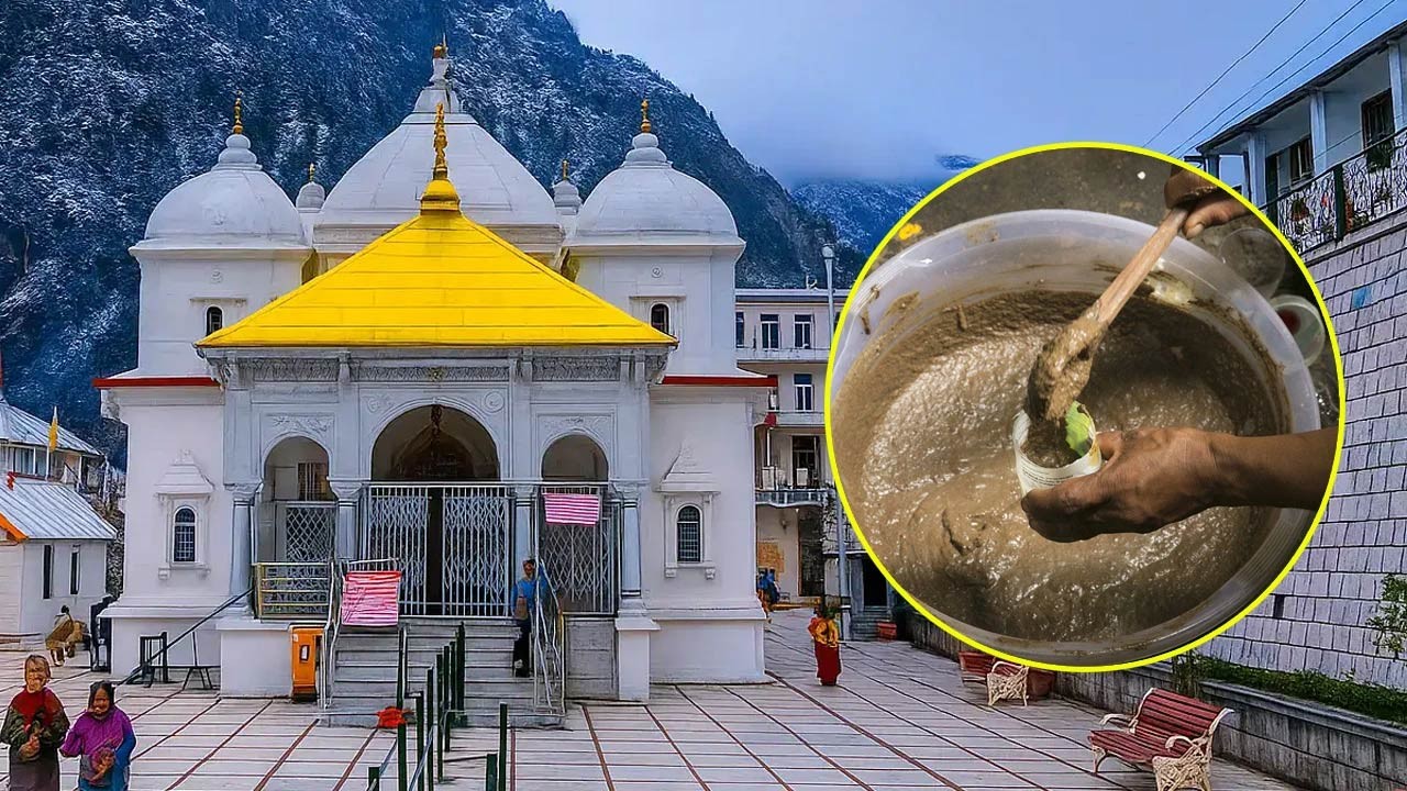 ভারতের গঙ্গোত্রী মন্দিরে 'পঞ্চগব্য' পান বাধ্যতামূলক; তালিকায় রয়েছে গোমূত্রও