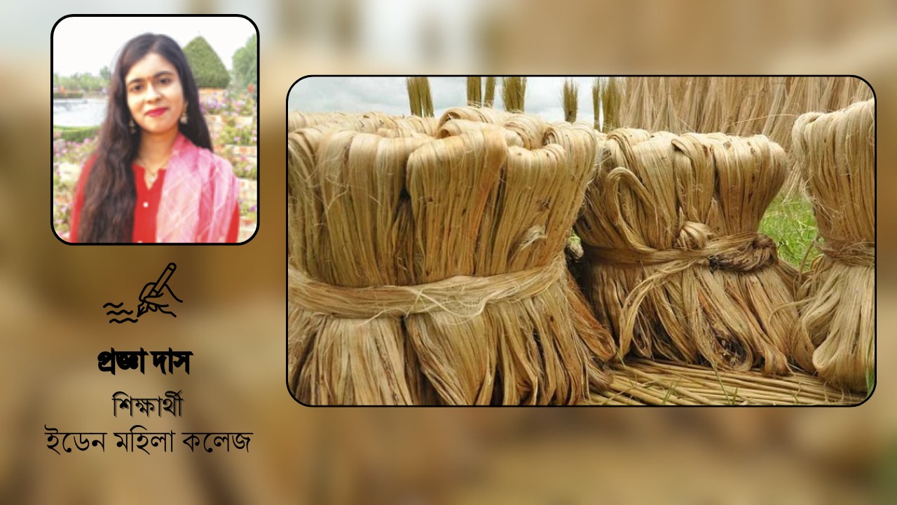 সোনালি আঁশের সম্ভাবনা ও চ্যালেঞ্জ মোকাবেলা