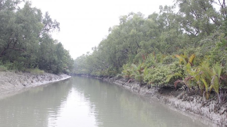 সুন্দরবনে ডাকাতের গুলিতে গুরুতর আহত জেলে