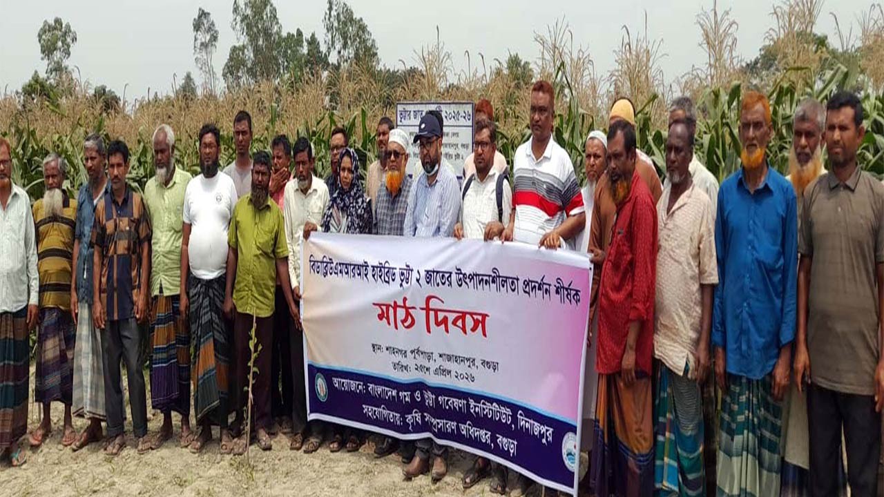 বগুড়ার শাজাহানপুরে হাইব্রিড ভূট্টা-২’র মাঠ দিবস : প্রতি বিঘায় ফলন ৪২ মণ