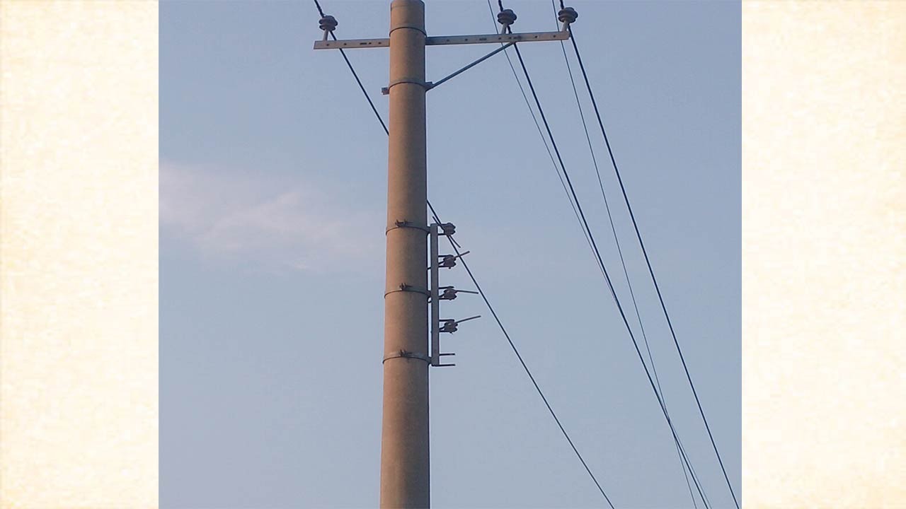 নীলফামারীর কিশোরগঞ্জে বৈদ্যুতিক তার চুরি, বিদ্যুৎ সরবরাহ বন্ধ