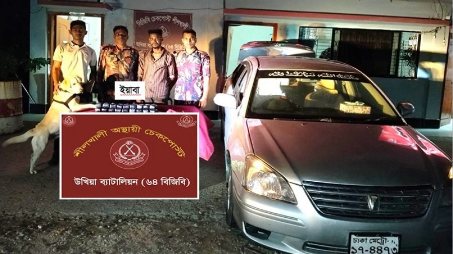 বিজিবি চেকপোস্টে ৩৬ হাজার ইয়াবা ও প্রাইভেটকার জব্দ