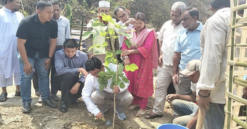 রাঙামাটিতে সড়কের পাশে বৃক্ষরোপণ কর্মসূচির উদ্বোধন