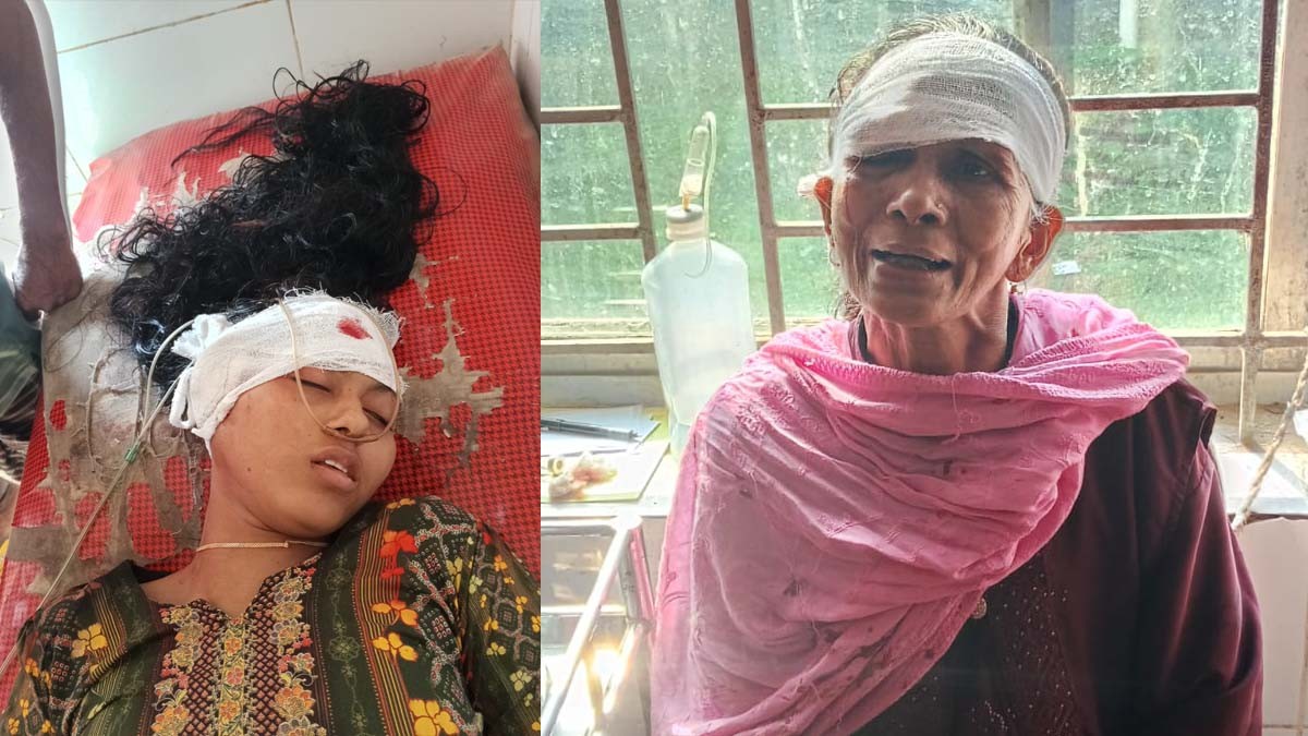 মোহনগঞ্জে ট্রাকের ধাক্কায় অটোরিকশায় থাকা মা ও মেয়ে আহত