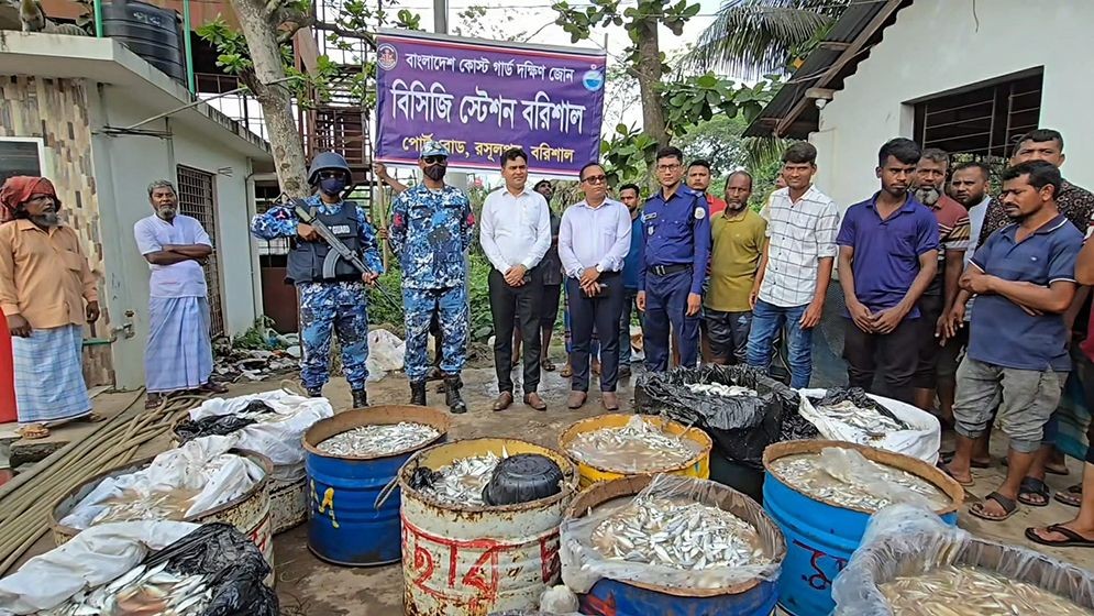 ঝালকাঠির নলছিটিতে ১৭০০ কেজি জাটকা জব্দ